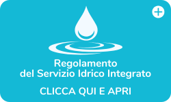 Regolamento del Servizio Idrico Integrato 2025